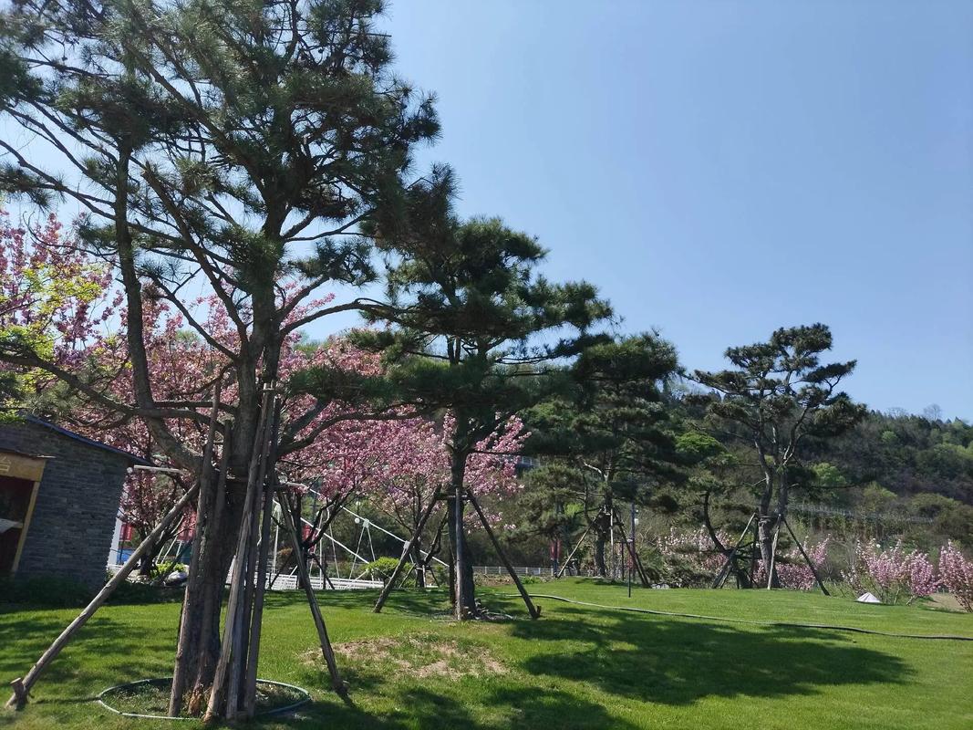 别墅庭院花园效果图 ,影视基地随手一拍